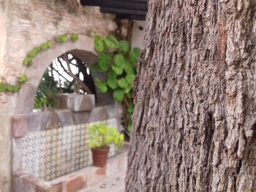 Hotel & Spa Dona Urraca سان ميغيل دي الليندي المظهر الخارجي الصورة