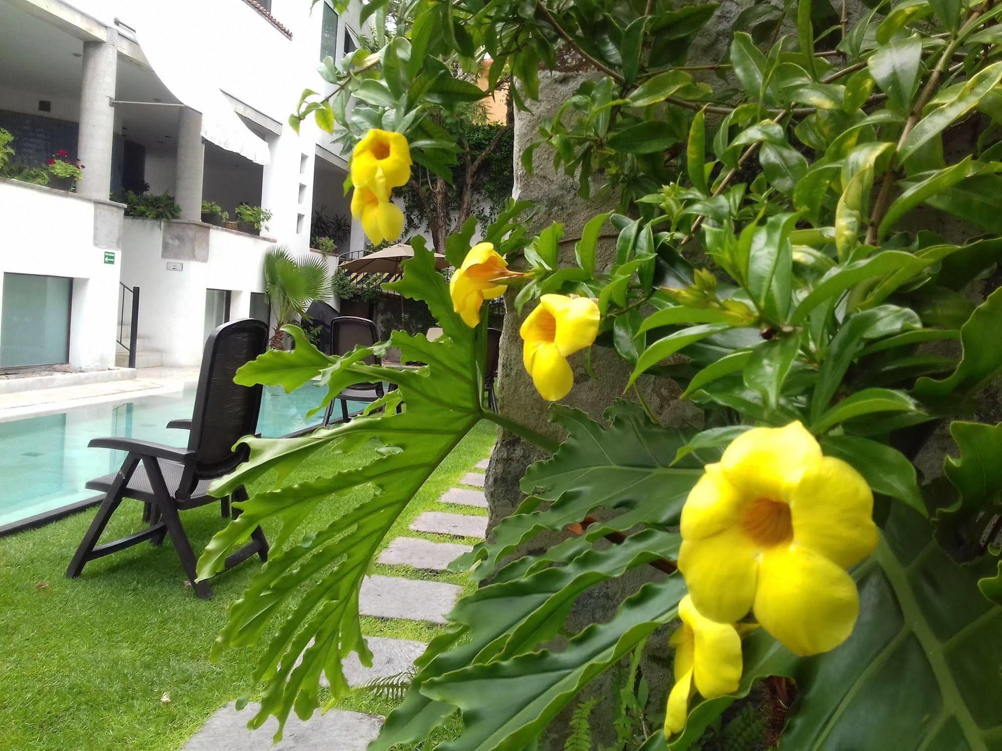 Hotel & Spa Dona Urraca سان ميغيل دي الليندي المظهر الخارجي الصورة